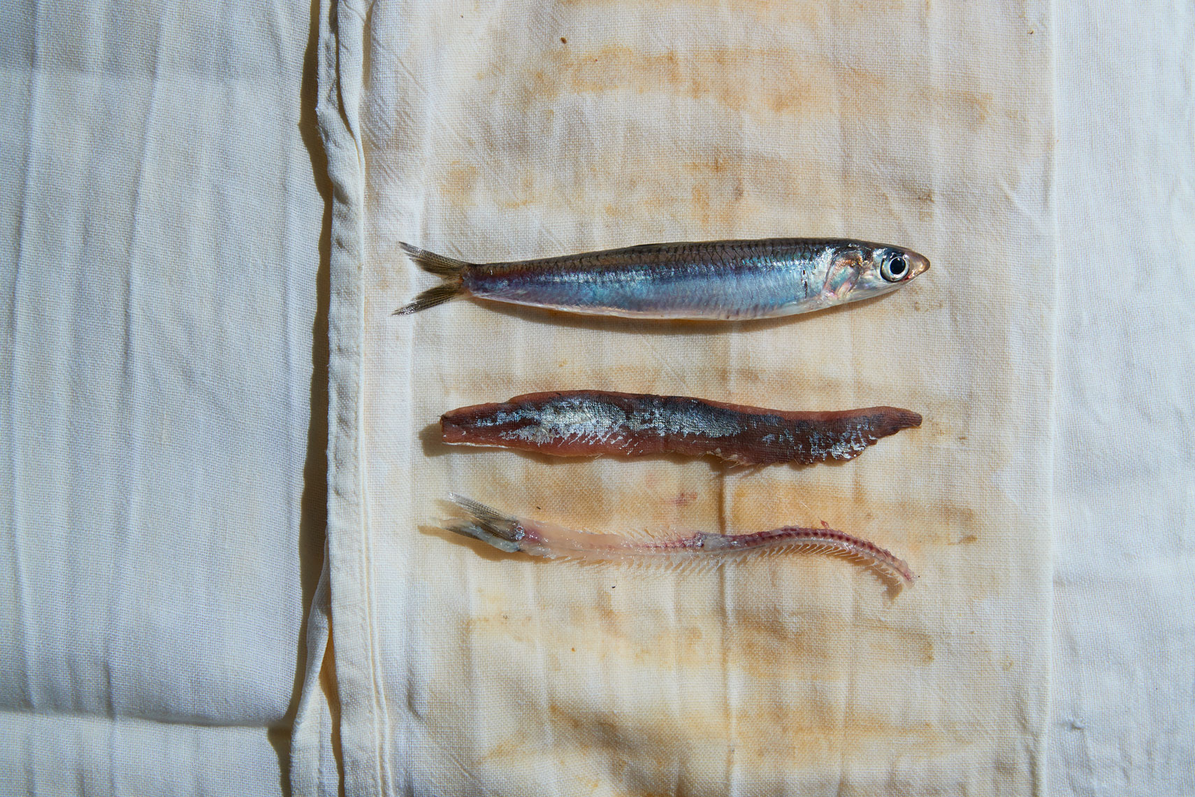 Autentico: Three Stages of Anchovy