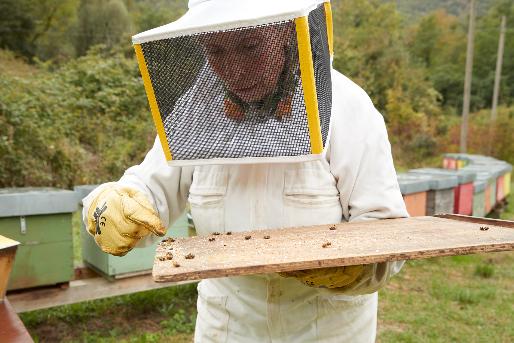Autentico: Franca, The Bee Whisperer