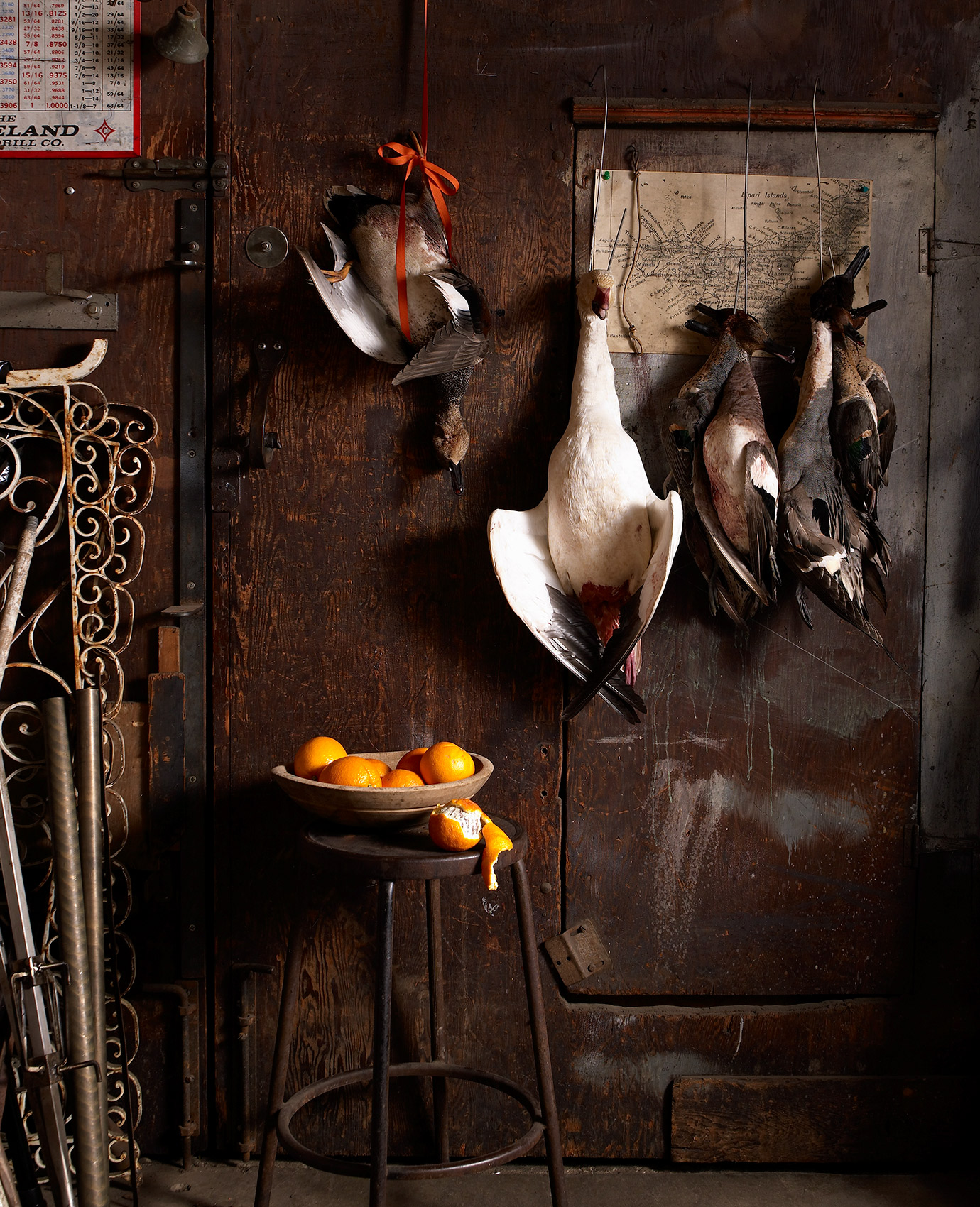 Angelo: Ducks
