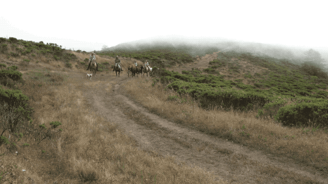 Lifestyle: Markegard Farm