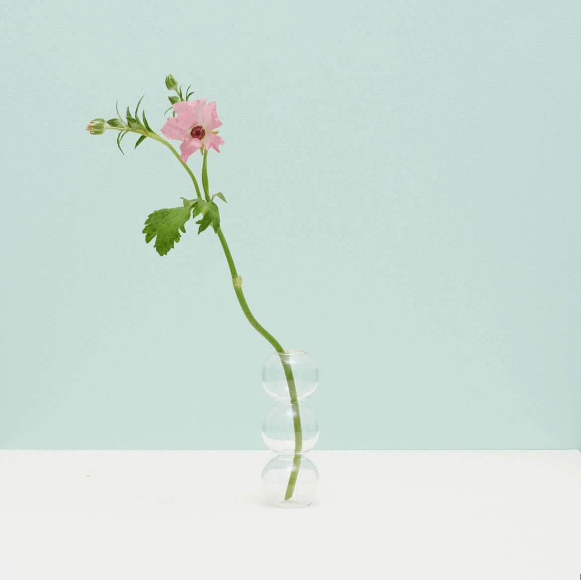 march-vase